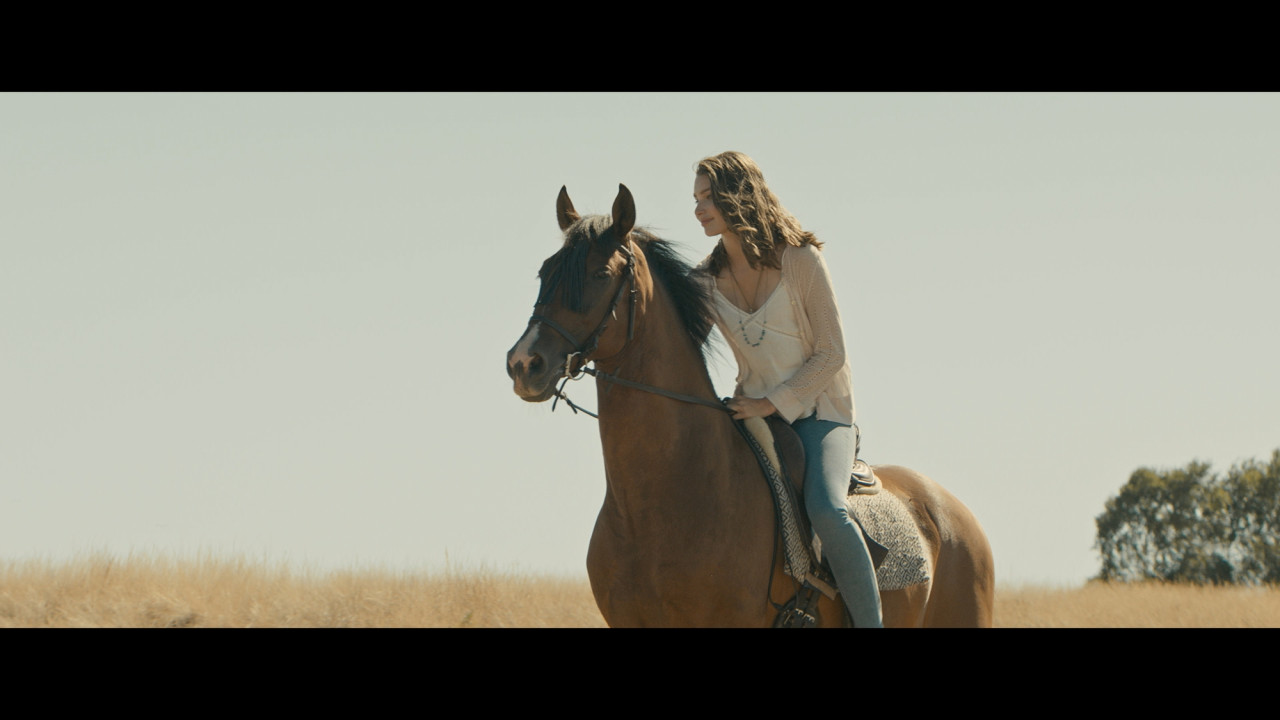 Immenhof Das Abenteuer eines Sommers Kino Constantin Film Österreich