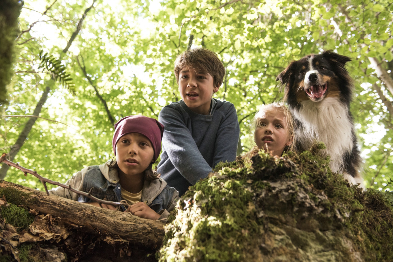 Fünf Freunde und das Tal der Dinosaurier Kino Constantin Film Österreich Fünf Freunde und das Tal der Dinosaurier Kino Constantin Film Österreich